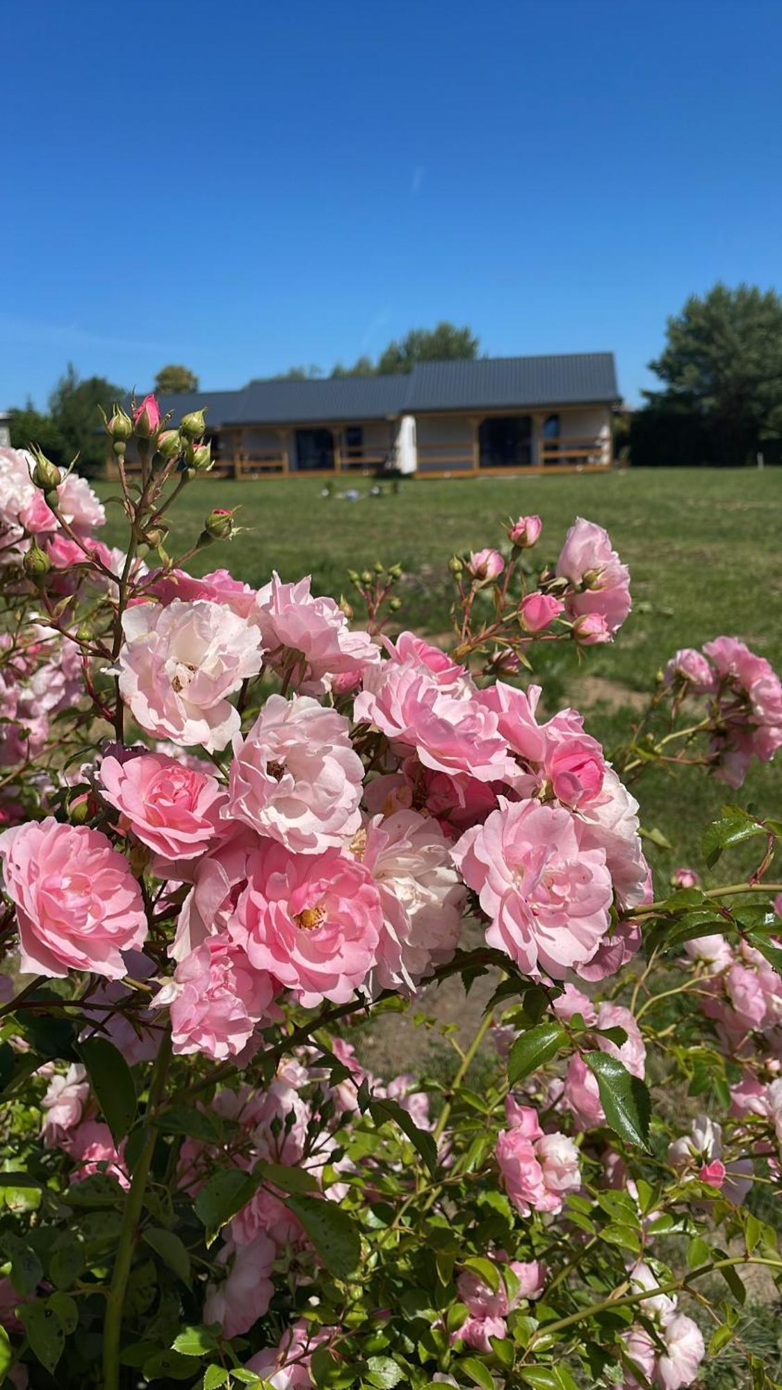 Bursztynowy Zakatek Villa Jezierzany Buitenkant foto